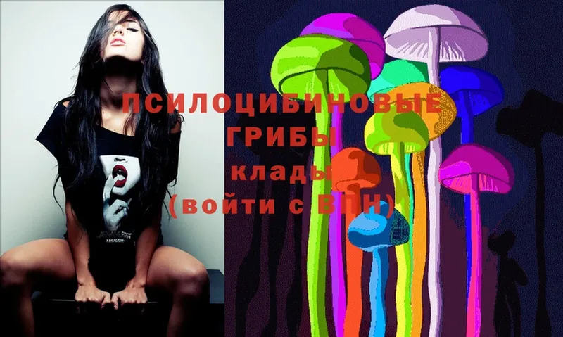 Псилоцибиновые грибы Cubensis  Каспийск 